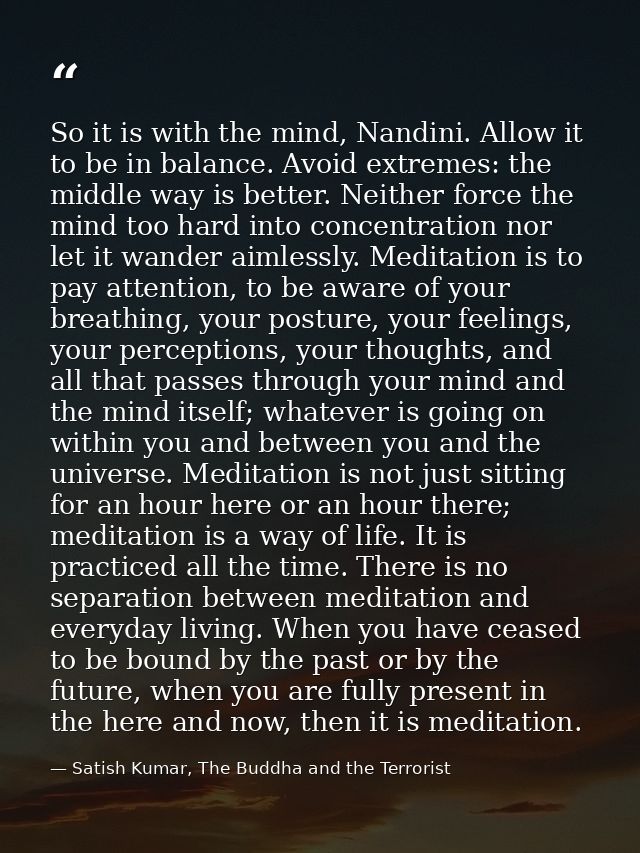 So it is with the mind, Nandini. Allow it to be in balance. Avoid extremes: the middle way is better. Neither force the  — Satish Kumar, The Buddha and the Terrorist