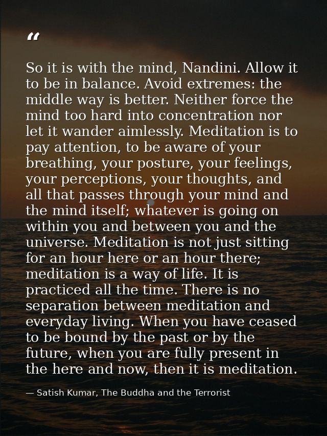 So it is with the mind, Nandini. Allow it to be in balance. Avoid extremes: the middle way is better. Neither force the  — Satish Kumar, The Buddha and the Terrorist