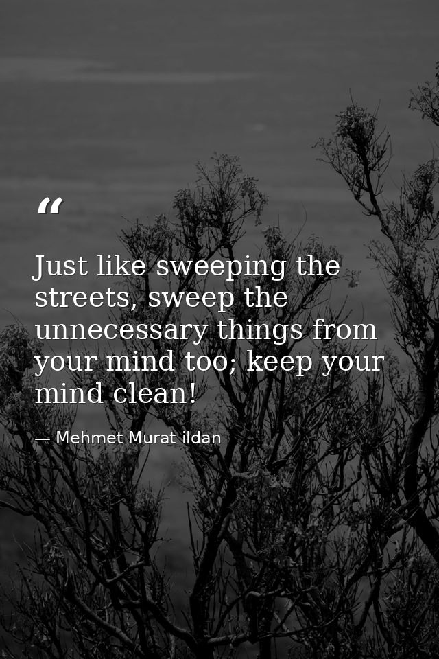 Just like sweeping the streets, sweep the unnecessary things from your mind too; keep your mind clean! — Mehmet Murat ildan