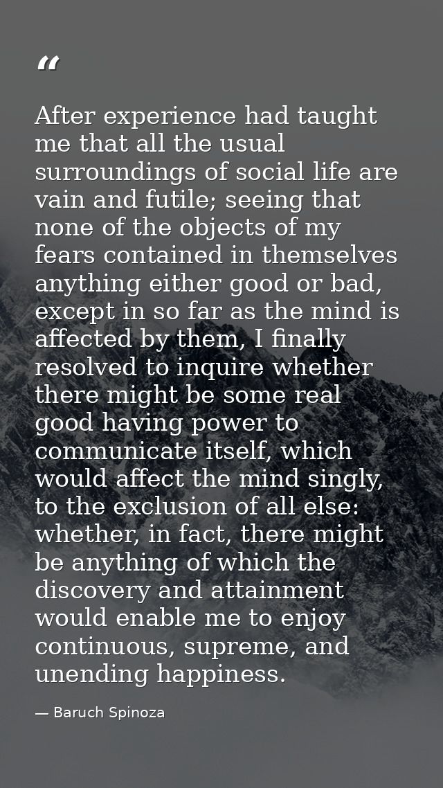 After experience had taught me that all the usual surroundings of social life are vain and futile; seeing that none of t — Baruch Spinoza