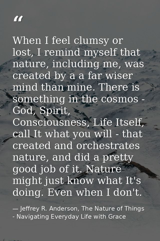 When I feel clumsy or lost, I remind myself that nature, including me, was created by a a far wiser mind than mine. Ther — Jeffrey R. Anderson, The Nature of Things - Navigating Everyday Life with Grace