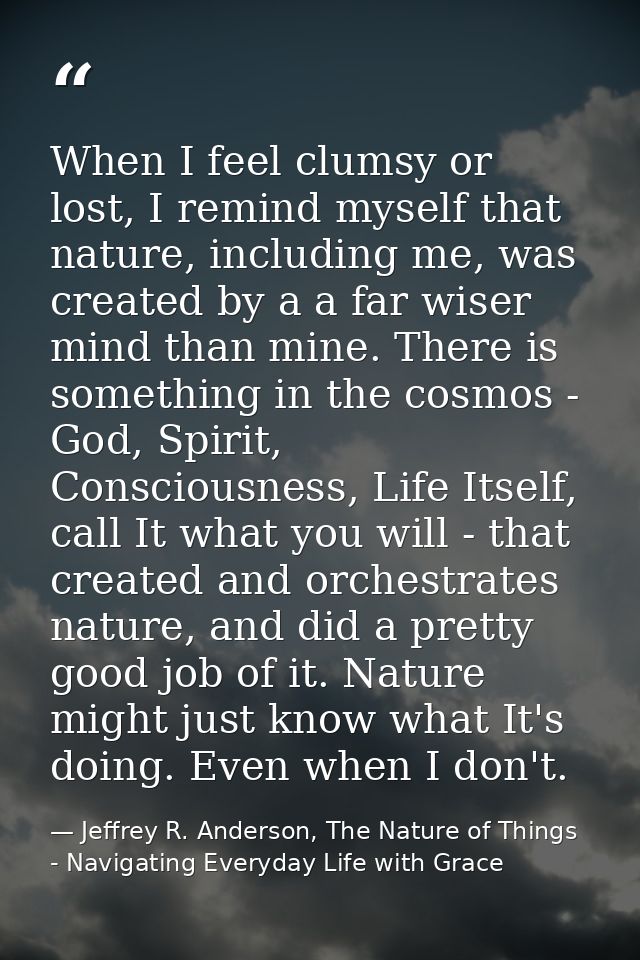 When I feel clumsy or lost, I remind myself that nature, including me, was created by a a far wiser mind than mine. Ther — Jeffrey R. Anderson, The Nature of Things - Navigating Everyday Life with Grace