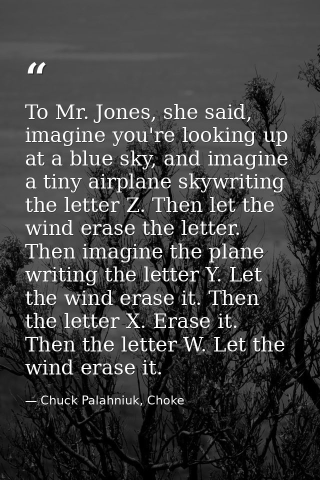 To Mr. Jones, she said, imagine you're looking up at a blue sky, and imagine a tiny airplane skywriting the letter Z. Th — Chuck Palahniuk, Choke