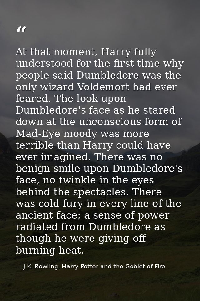At that moment, Harry fully understood for the first time why people said Dumbledore was the only wizard Voldemort had e — J.K. Rowling, Harry Potter and the Goblet of Fire