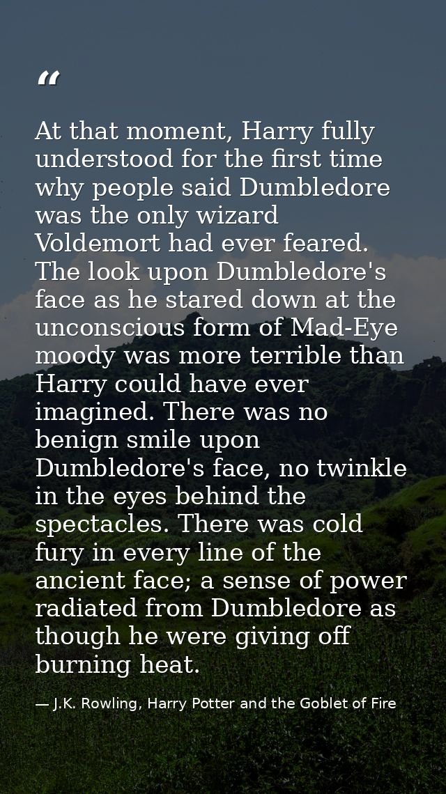 At that moment, Harry fully understood for the first time why people said Dumbledore was the only wizard Voldemort had e — J.K. Rowling, Harry Potter and the Goblet of Fire