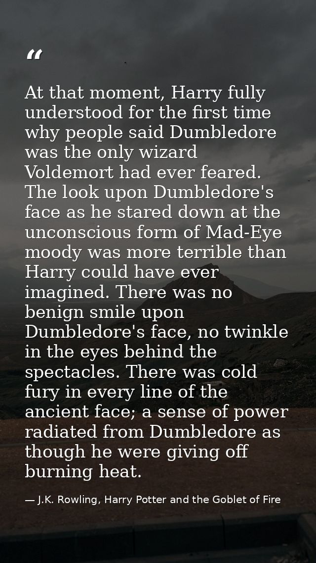 At that moment, Harry fully understood for the first time why people said Dumbledore was the only wizard Voldemort had e — J.K. Rowling, Harry Potter and the Goblet of Fire