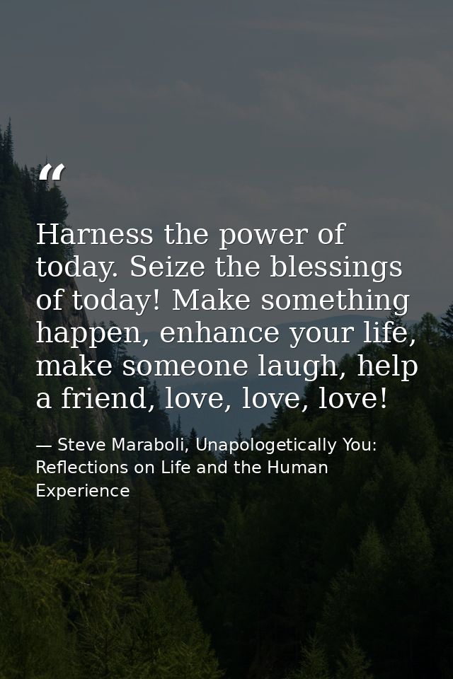 Harness the power of today. Seize the blessings of today! Make something happen, enhance your life, make someone laugh,  — Steve Maraboli, Unapologetically You: Reflections on Life and the Human Experience
