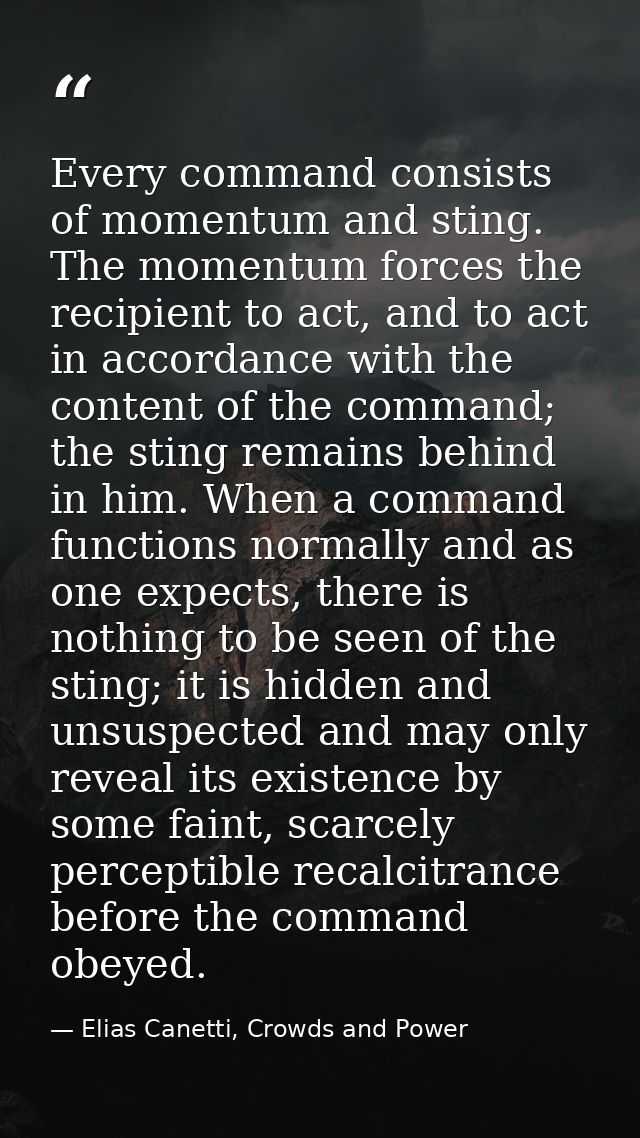 Every command consists of momentum and sting. The momentum forces the recipient to act, and to act in accordance with th — Elias Canetti, Crowds and Power