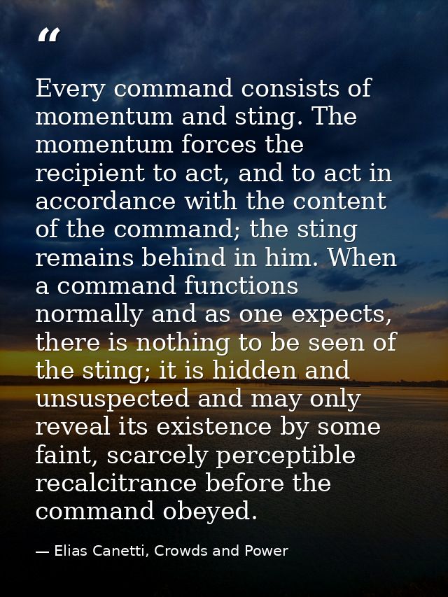 Every command consists of momentum and sting. The momentum forces the recipient to act, and to act in accordance with th — Elias Canetti, Crowds and Power