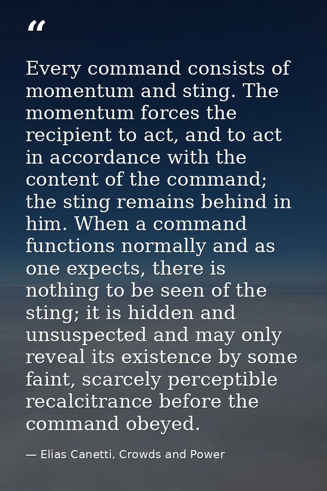 Every command consists of momentum and sting. The momentum forces the recipient to act, and to act in accordance with th — Elias Canetti, Crowds and Power