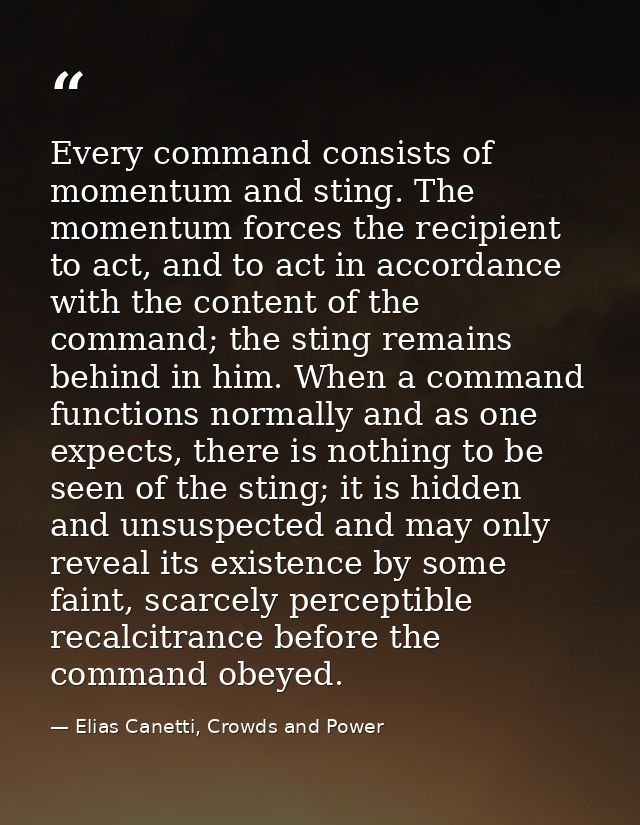 Every command consists of momentum and sting. The momentum forces the recipient to act, and to act in accordance with th — Elias Canetti, Crowds and Power