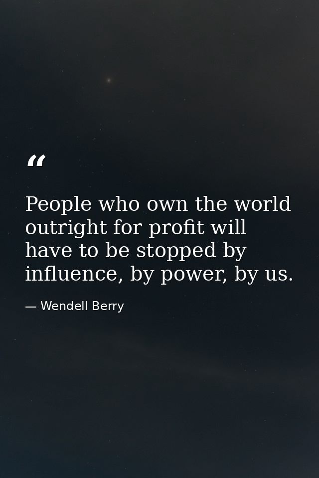 People who own the world outright for profit will have to be stopped by influence, by power, by us. — Wendell Berry