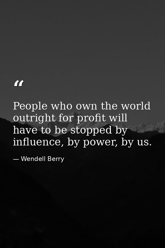 People who own the world outright for profit will have to be stopped by influence, by power, by us. — Wendell Berry