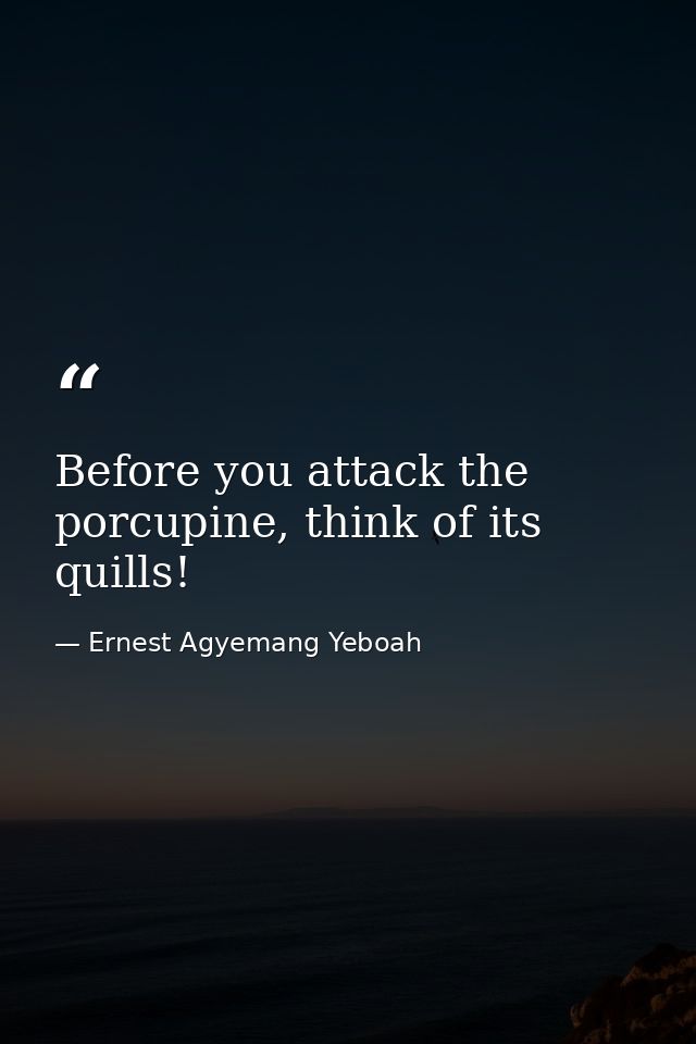 Before you attack the porcupine, think of its quills! — Ernest Agyemang Yeboah