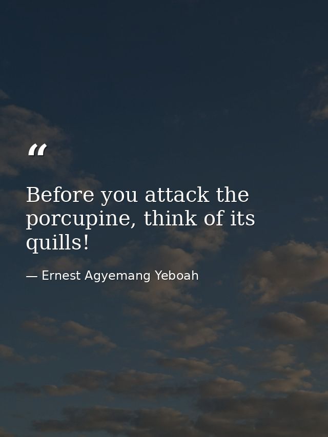Before you attack the porcupine, think of its quills! — Ernest Agyemang Yeboah