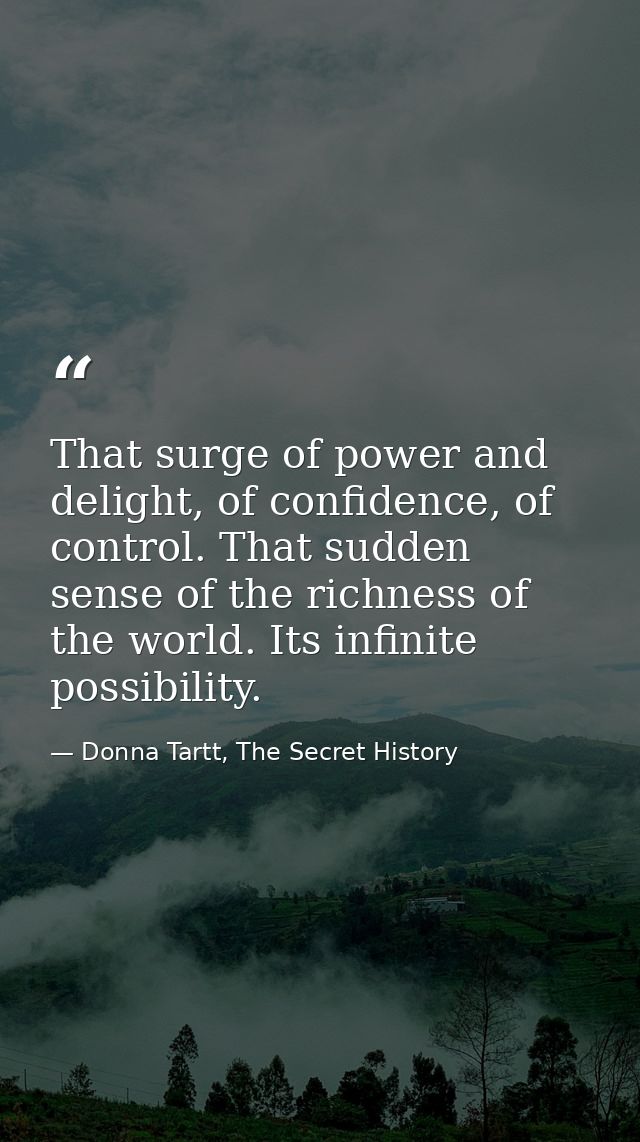That surge of power and delight, of confidence, of control. That sudden sense of the richness of the world. Its infinite — Donna Tartt, The Secret History