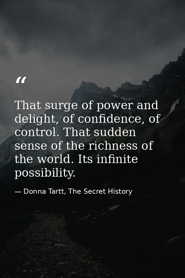 That surge of power and delight, of confidence, of control. That sudden sense of the richness of the world. Its infinite — Donna Tartt, The Secret History