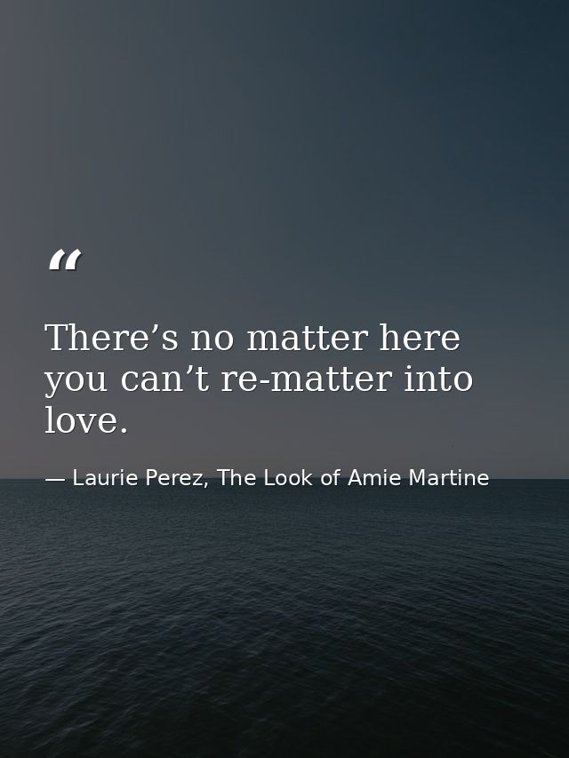 There’s no matter here you can’t re-matter into love. — Laurie Perez, The Look of Amie Martine