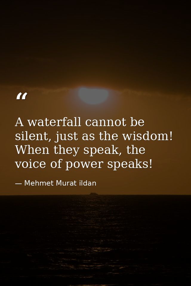 A waterfall cannot be silent, just as the wisdom! When they speak, the voice of power speaks! — Mehmet Murat ildan