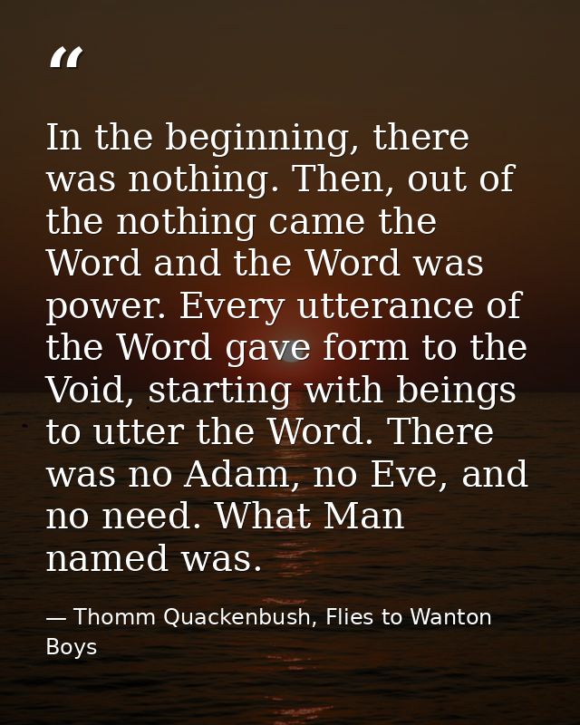 In the beginning, there was nothing. Then, out of the nothing came the Word and the Word was power. Every utterance of t — Thomm Quackenbush, Flies to Wanton Boys