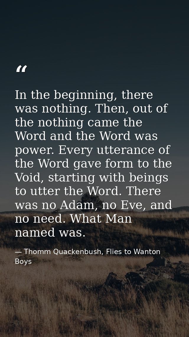 In the beginning, there was nothing. Then, out of the nothing came the Word and the Word was power. Every utterance of t — Thomm Quackenbush, Flies to Wanton Boys