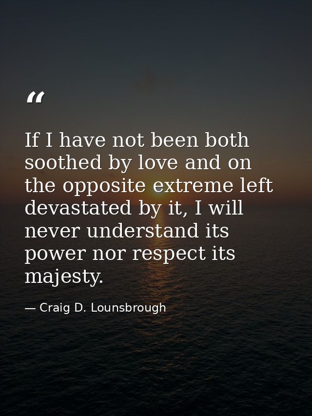 If I have not been both soothed by love and on the opposite extreme left devastated by it, I will never understand its p — Craig D. Lounsbrough