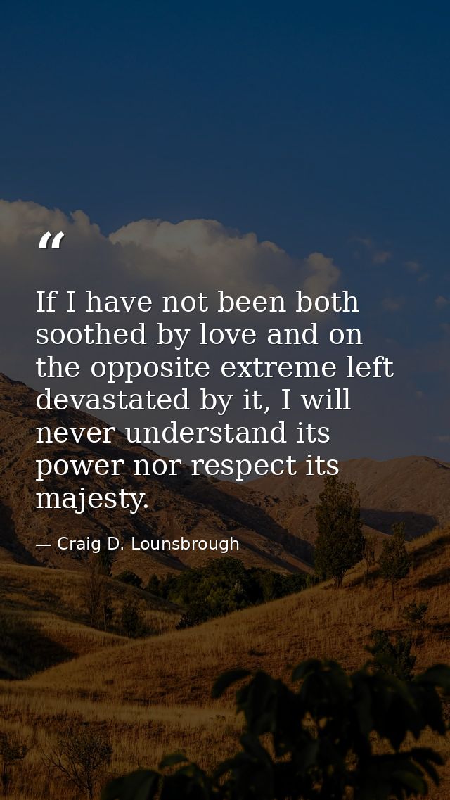If I have not been both soothed by love and on the opposite extreme left devastated by it, I will never understand its p — Craig D. Lounsbrough