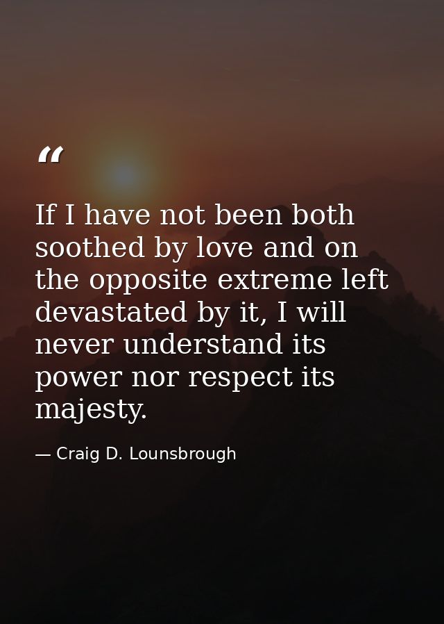 If I have not been both soothed by love and on the opposite extreme left devastated by it, I will never understand its p — Craig D. Lounsbrough