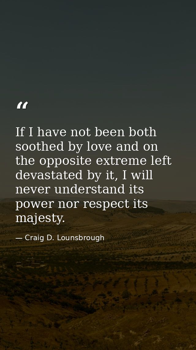 If I have not been both soothed by love and on the opposite extreme left devastated by it, I will never understand its p — Craig D. Lounsbrough