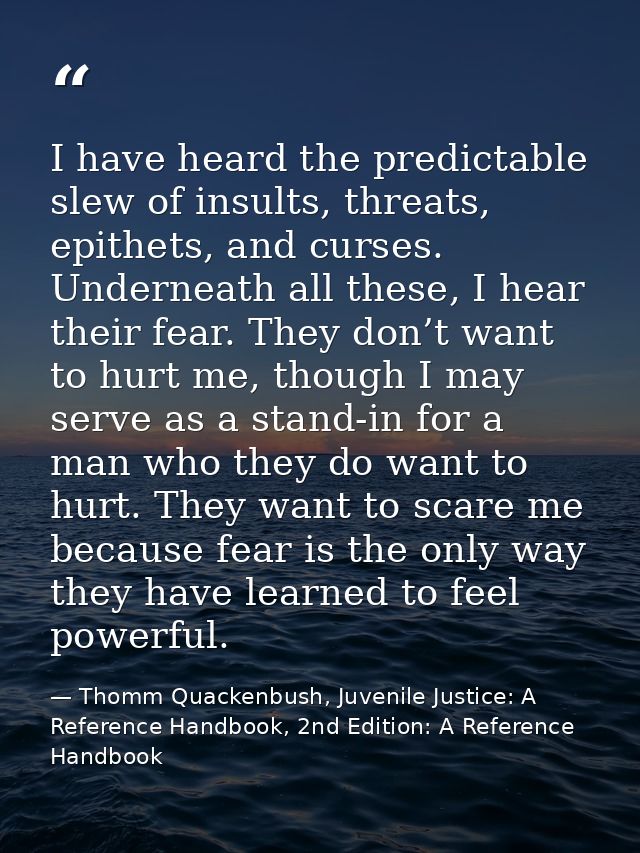 I have heard the predictable slew of insults, threats, epithets, and curses. Underneath all these, I hear their fear. Th — Thomm Quackenbush, Juvenile Justice: A Reference Handbook, 2nd Edition: A Reference Handbook