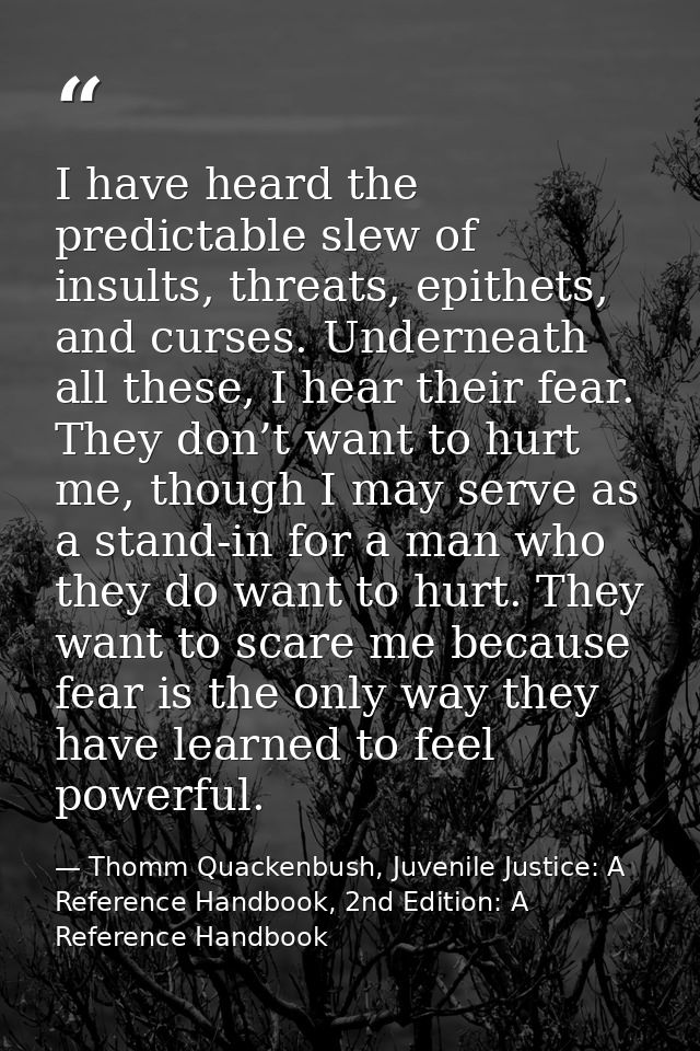 I have heard the predictable slew of insults, threats, epithets, and curses. Underneath all these, I hear their fear. Th — Thomm Quackenbush, Juvenile Justice: A Reference Handbook, 2nd Edition: A Reference Handbook