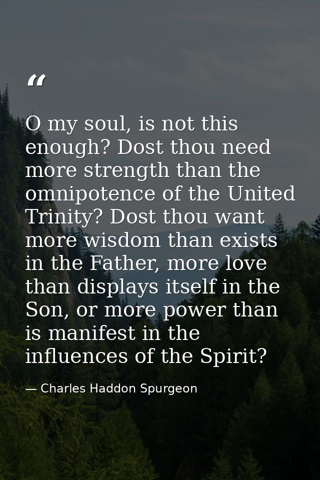 O my soul, is not this enough? Dost thou need more strength than the omnipotence of the United Trinity? Dost thou want m — Charles Haddon Spurgeon