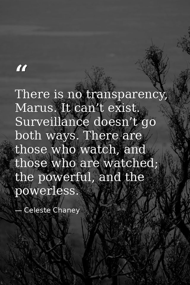There is no transparency, Marus. It can’t exist. Surveillance doesn’t go both ways. There are those who watch, and those — Celeste Chaney