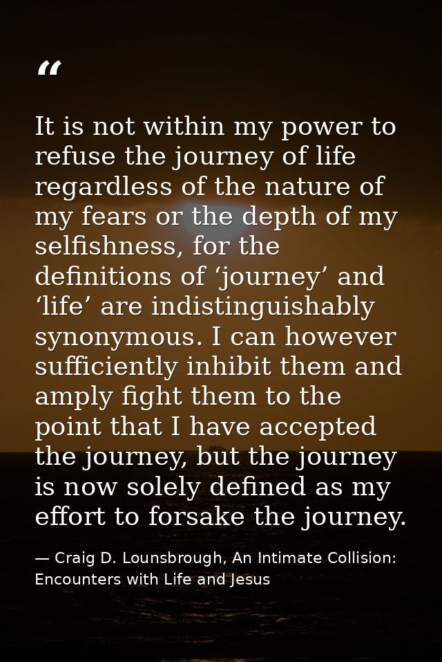 It is not within my power to refuse the journey of life regardless of the nature of my fears or the depth of my selfishn — Craig D. Lounsbrough, An Intimate Collision: Encounters with Life and Jesus