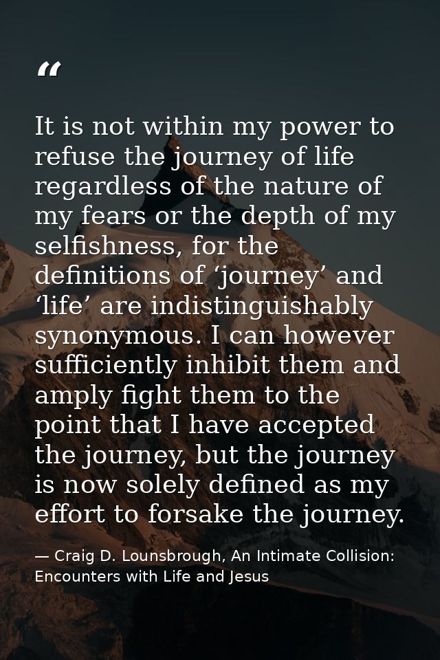 It is not within my power to refuse the journey of life regardless of the nature of my fears or the depth of my selfishn — Craig D. Lounsbrough, An Intimate Collision: Encounters with Life and Jesus