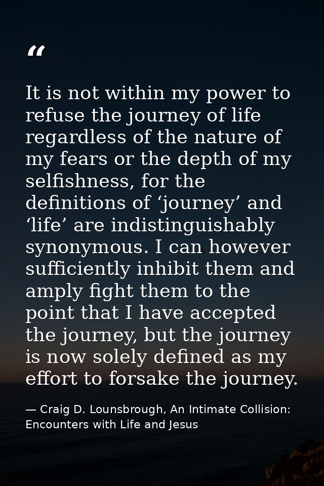 It is not within my power to refuse the journey of life regardless of the nature of my fears or the depth of my selfishn — Craig D. Lounsbrough, An Intimate Collision: Encounters with Life and Jesus