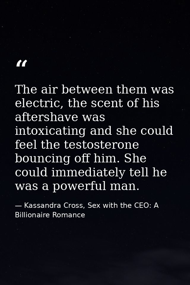 The air between them was electric, the scent of his aftershave was intoxicating and she could feel the testosterone boun — Kassandra Cross, Sex with the CEO: A Billionaire Romance