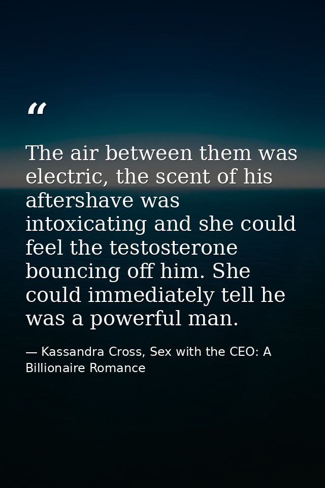 The air between them was electric, the scent of his aftershave was intoxicating and she could feel the testosterone boun — Kassandra Cross, Sex with the CEO: A Billionaire Romance