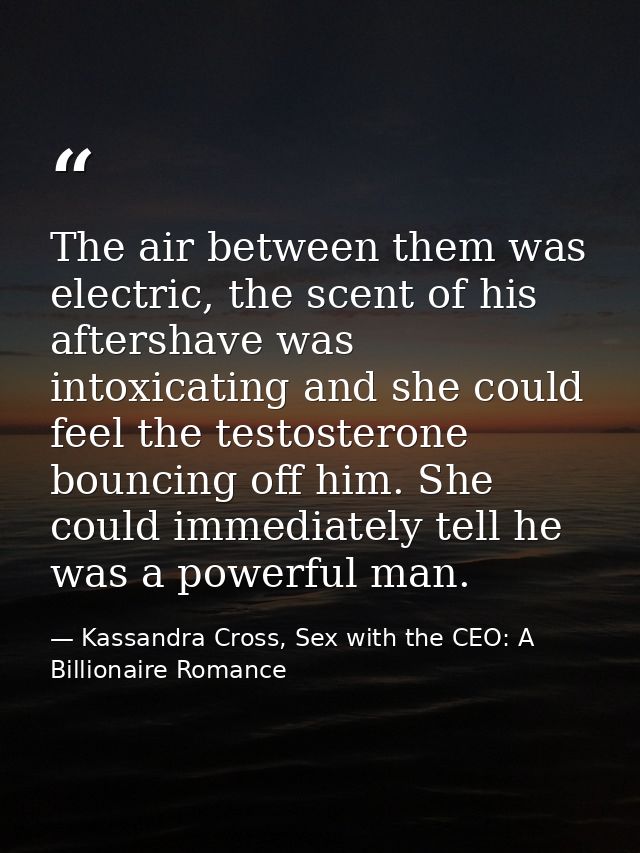 The air between them was electric, the scent of his aftershave was intoxicating and she could feel the testosterone boun — Kassandra Cross, Sex with the CEO: A Billionaire Romance