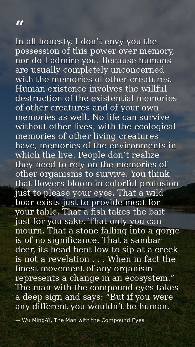 In all honesty, I don’t envy you the possession of this power over memory, nor do I admire you. Because humans are usual — Wu Ming-Yi, The Man with the Compound Eyes