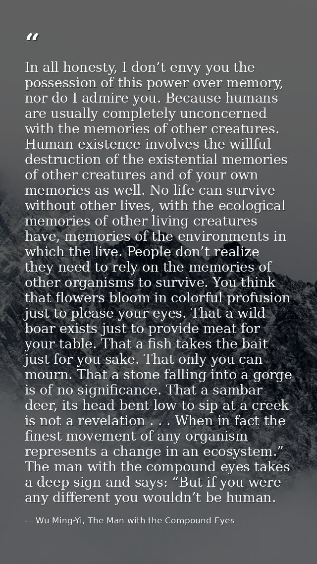 In all honesty, I don’t envy you the possession of this power over memory, nor do I admire you. Because humans are usual — Wu Ming-Yi, The Man with the Compound Eyes
