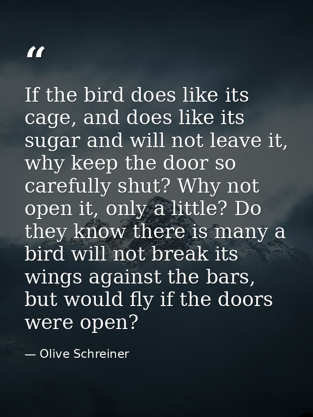 If the bird does like its cage, and does like its sugar and will not leave it, why keep the door so carefully shut? Why  — Olive Schreiner