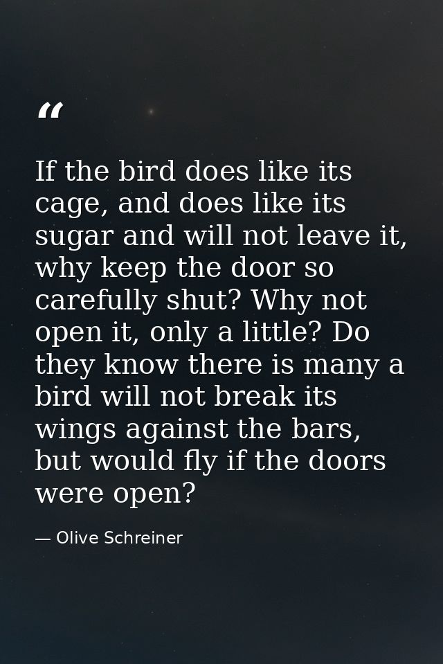 If the bird does like its cage, and does like its sugar and will not leave it, why keep the door so carefully shut? Why  — Olive Schreiner