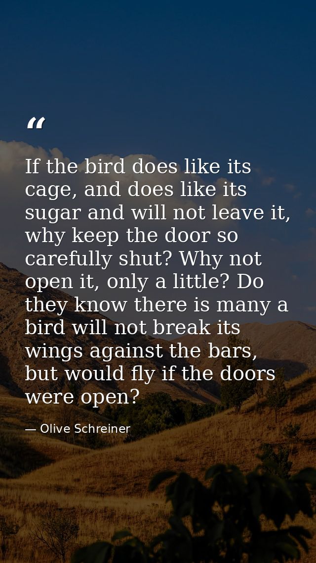 If the bird does like its cage, and does like its sugar and will not leave it, why keep the door so carefully shut? Why  — Olive Schreiner