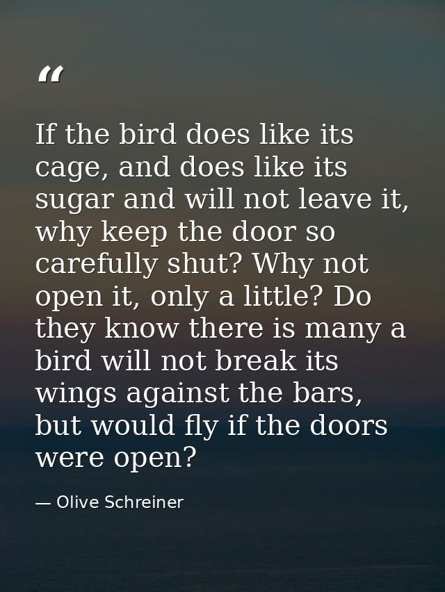 If the bird does like its cage, and does like its sugar and will not leave it, why keep the door so carefully shut? Why  — Olive Schreiner