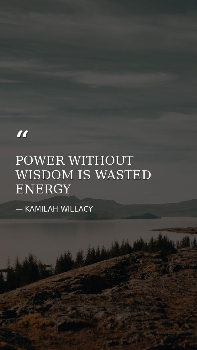 POWER WITHOUT WISDOM IS WASTED ENERGY — KAMILAH WILLACY