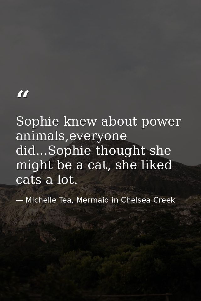 Sophie knew about power animals,everyone did...Sophie thought she might be a cat, she liked cats a lot. — Michelle Tea, Mermaid in Chelsea Creek