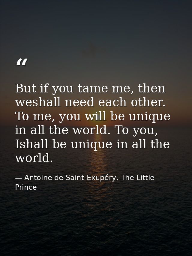 But if you tame me, then weshall need each other. To me, you will be unique in all the world. To you, Ishall be unique i — Antoine de Saint-Exupéry, The Little Prince
