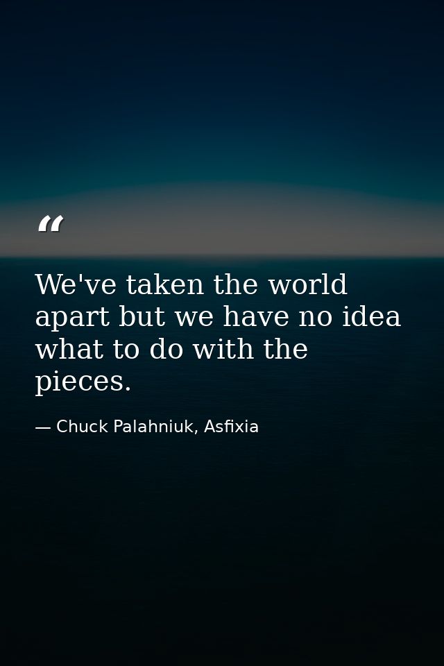 We've taken the world apart but we have no idea what to do with the pieces. — Chuck Palahniuk, Asfixia