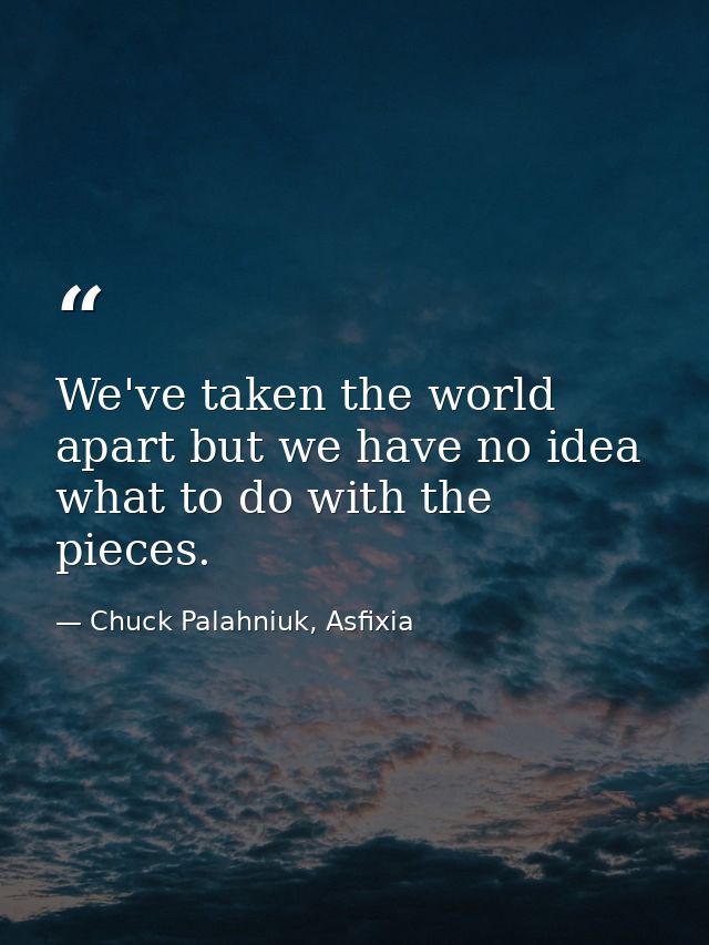 We've taken the world apart but we have no idea what to do with the pieces. — Chuck Palahniuk, Asfixia